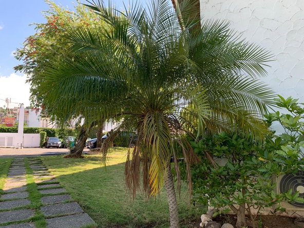 Fifth image of 201-3 Seaview Avenue in Kingston 5, St. Andrew, Jamaica - property is For Sale