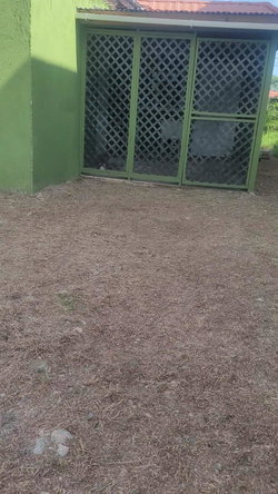 Thirteenth image of 484 Silver Crescent in Johnston Pen, St. Catherine, Jamaica - property is For Rent
