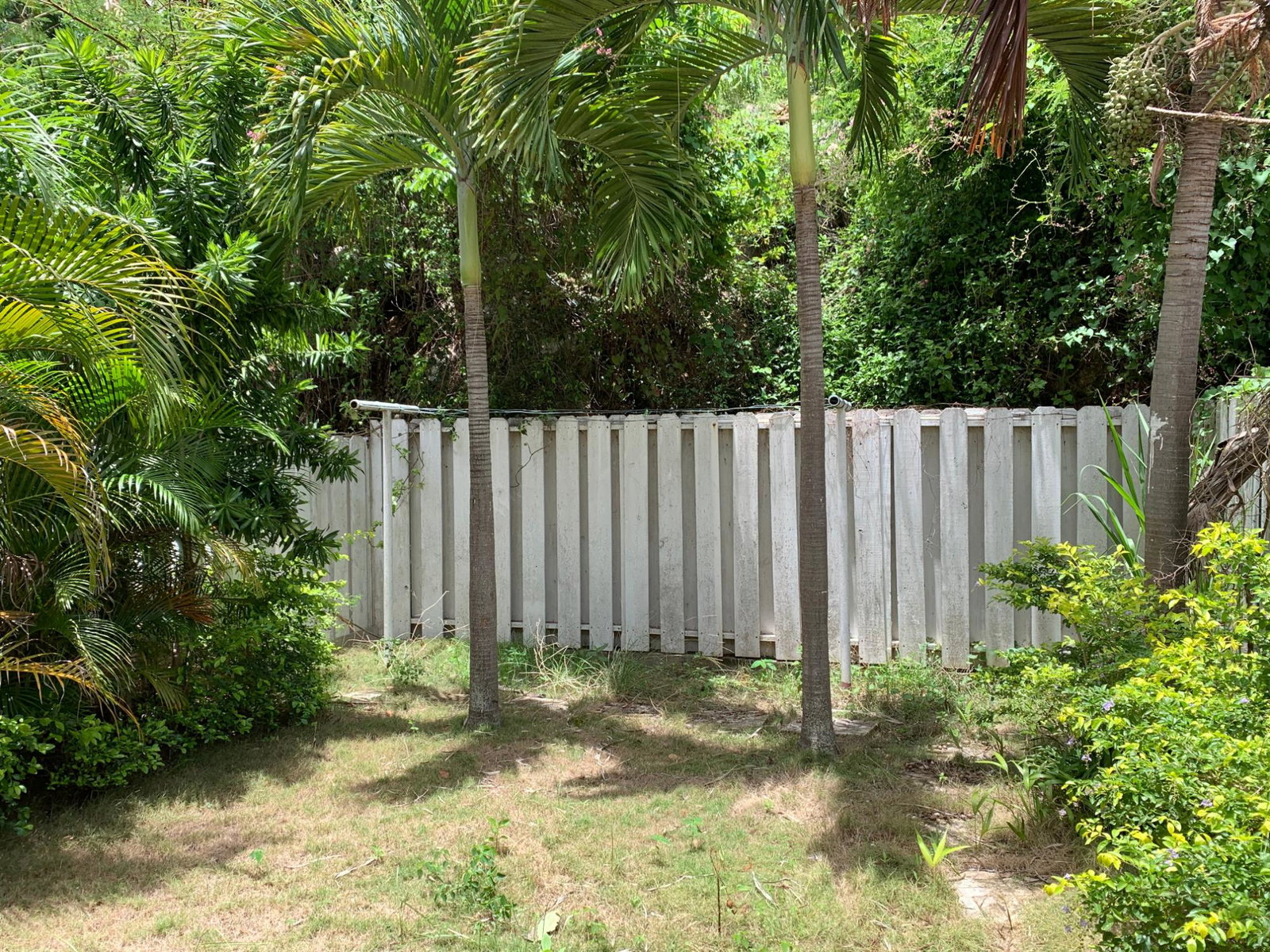 Tenth image of 51-51 Mountain Pride Boulevard in KINGSTON, Kingston, Jamaica - property is For Rent