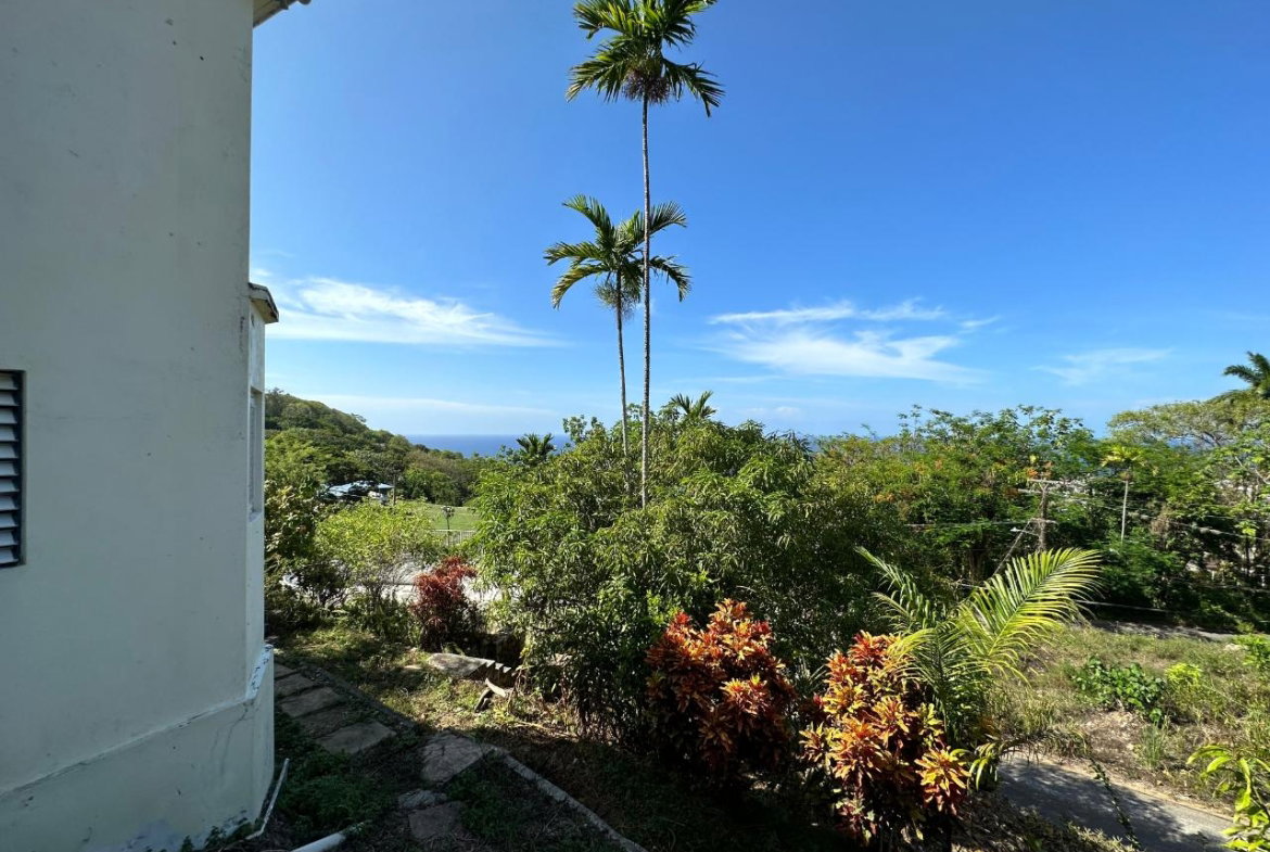 Twenty-Third image of 9 Birdcage Walk in Shaw Park, St. Ann, Jamaica - property is For Sale