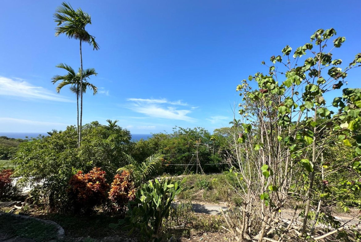 Twenty-Ninth image of 9 Birdcage Walk in Shaw Park, St. Ann, Jamaica - property is For Sale