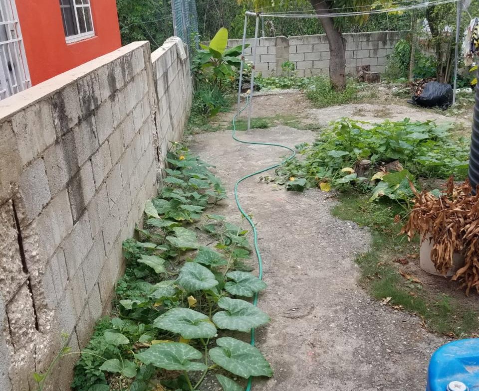 Thirteenth image of Mahoe Drive in Bridgeport, St. Catherine, Jamaica - property is For Sale