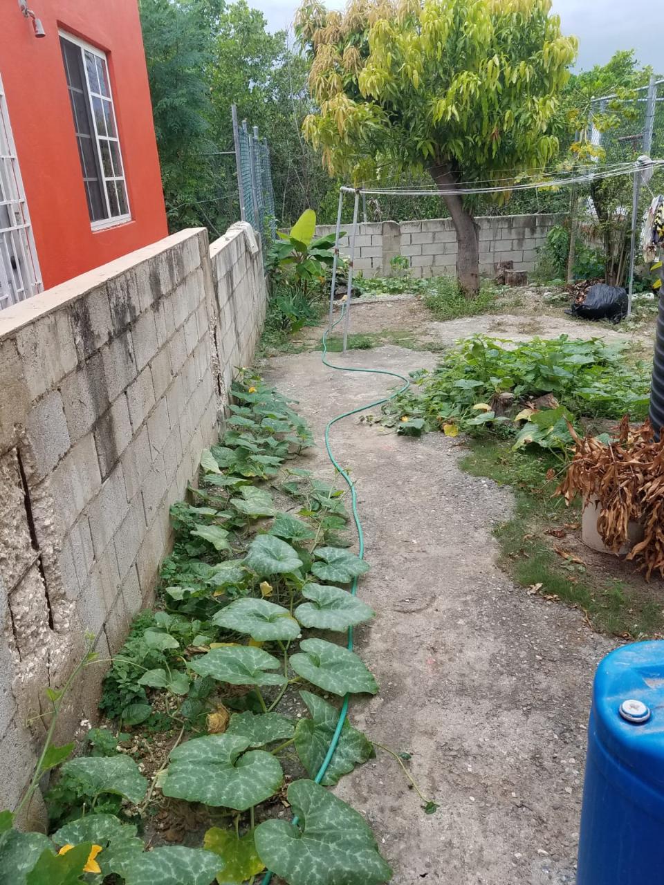 Thirteenth image of Mahoe Drive in Bridgeport, St. Catherine, Jamaica - property is For Sale
