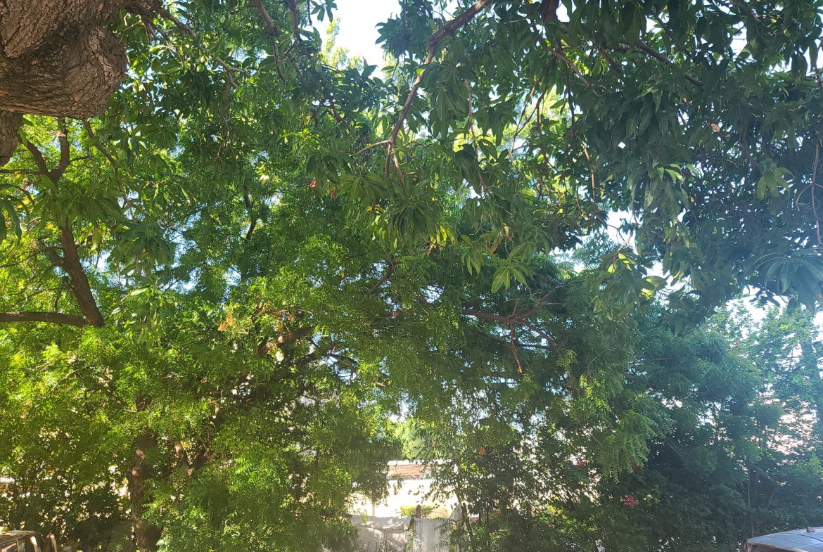 Thirtieth image of 1c-1-3 Strathairn Avenue in Kingston 10, St. Andrew, Jamaica - property is For Sale