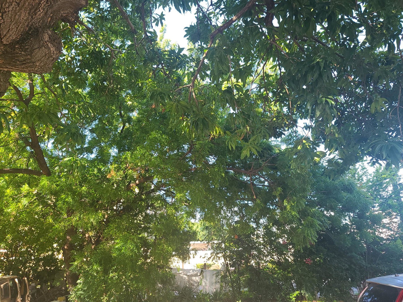 Thirtieth image of 1c-1-3 Strathairn Avenue in Kingston 10, St. Andrew, Jamaica - property is For Sale