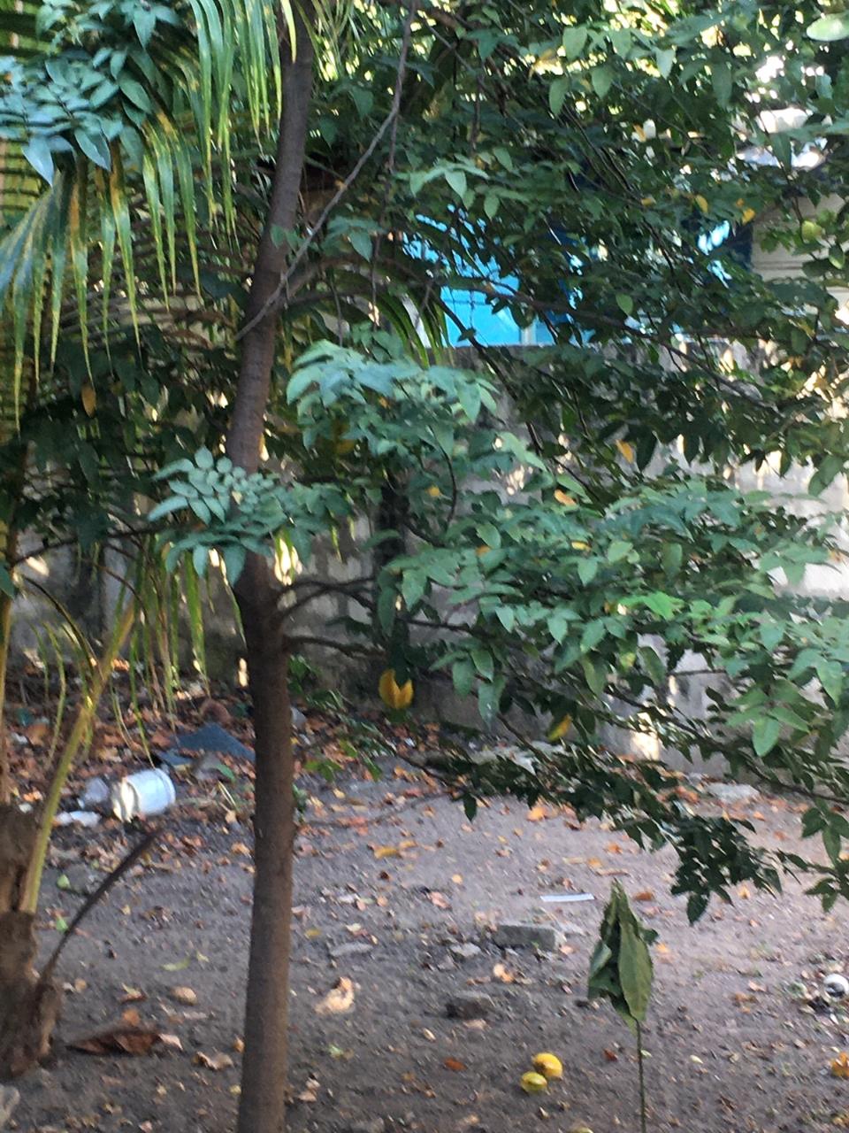 Sixth image of Maverley Community in Kingston 20, St. Andrew, Jamaica - property is For Sale
