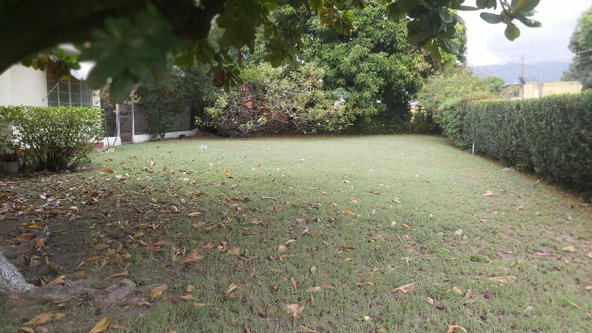 Twelfth image of 23 1/2 Cassia Park in Kingston 10, St. Andrew, Jamaica - property is For Sale