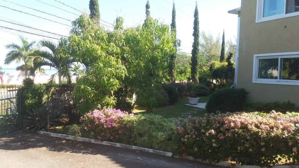 Sixth image of Unity Hall in Spring Garden, St. James, Jamaica - property is For Sale