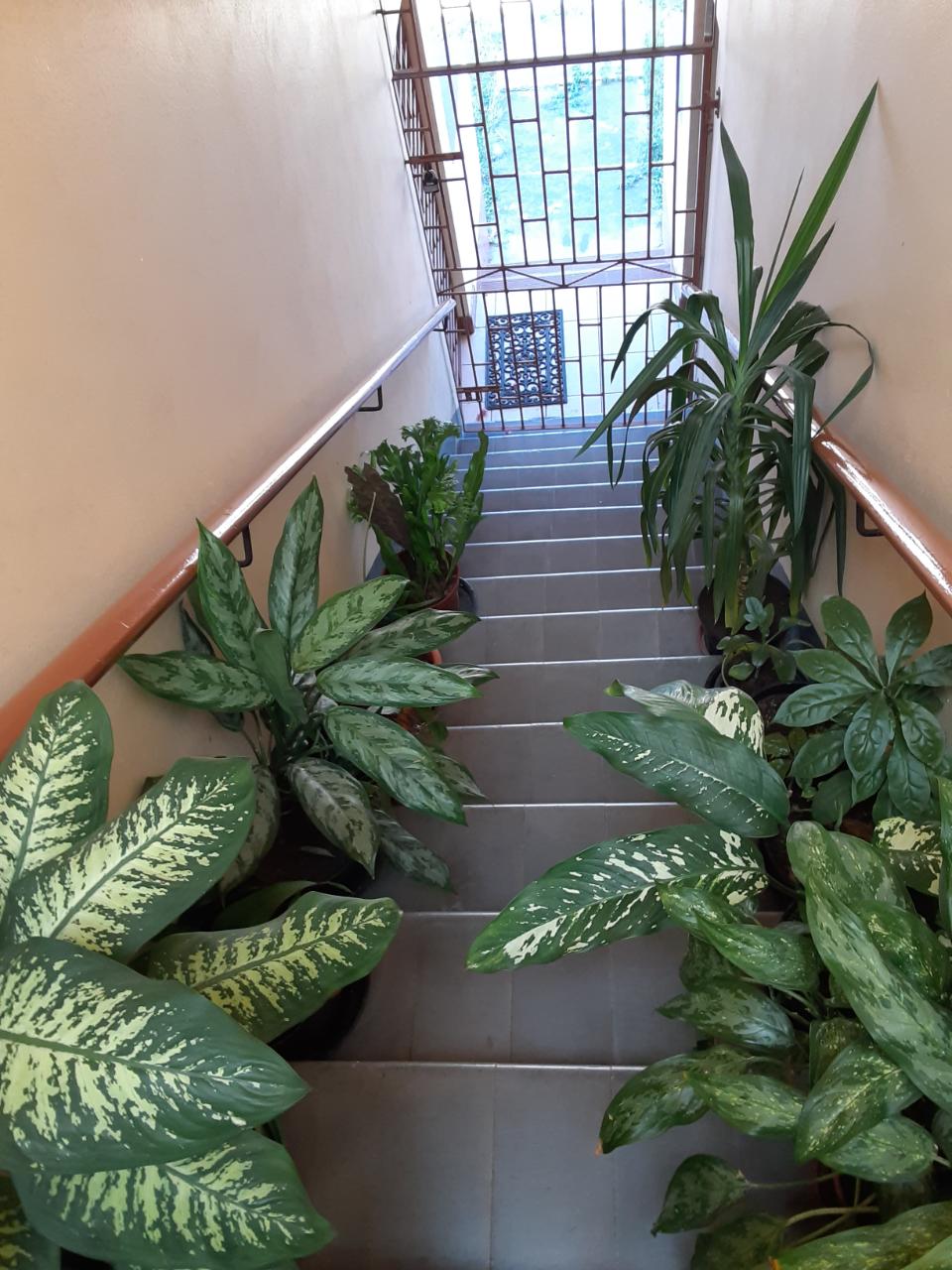 Charming-2BR-Apartment-for-Sale-in-Jamaica-St.-Andrew Seventh image of 3-176 Mountain View Avenue in Kingston 6, St. Andrew, Jamaica - property is For Sale
