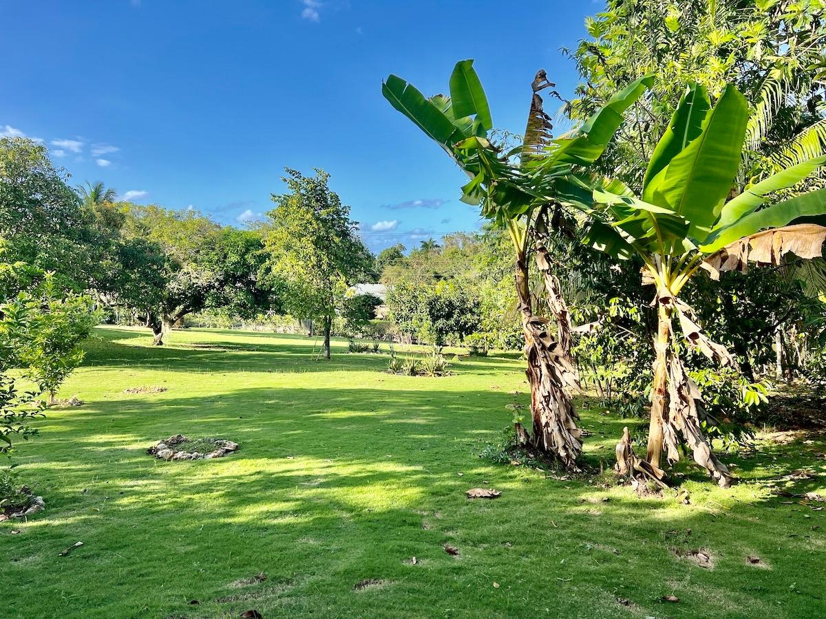 Eighteenth image of Daniella Dr. Unity Hall in Montego Bay, St. James, Jamaica - property is For Sale