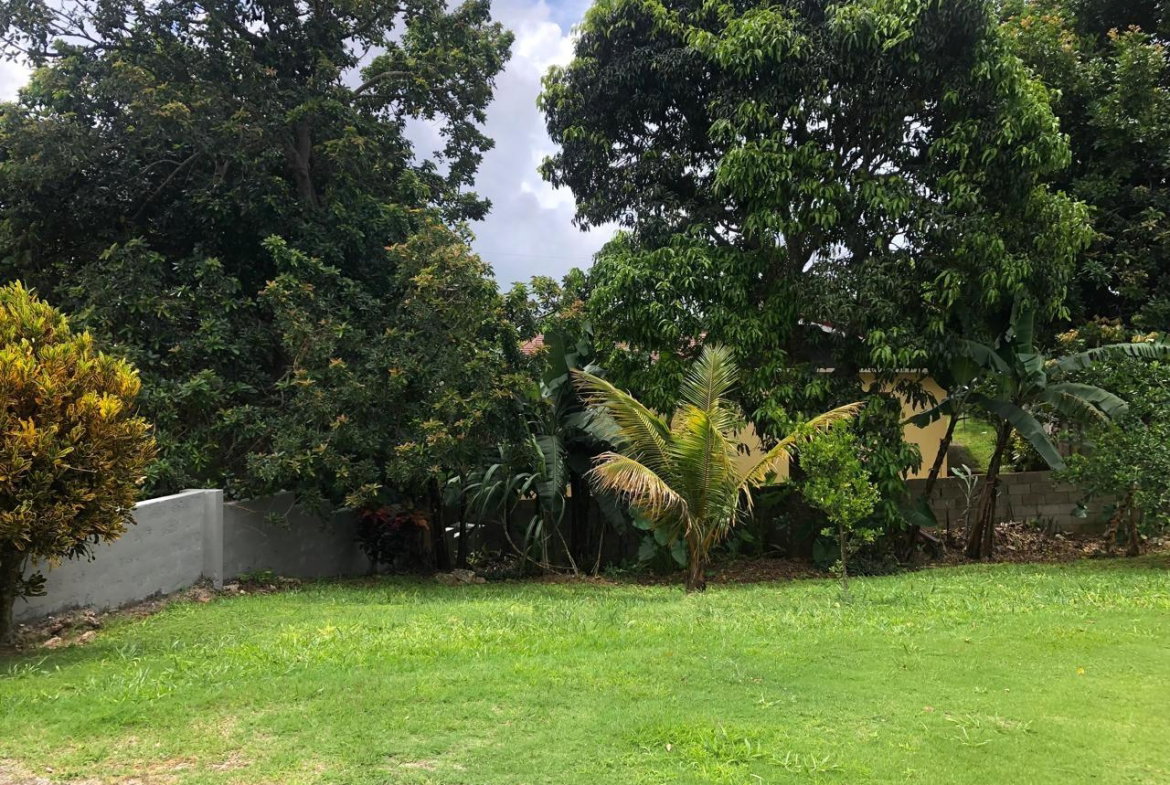 Eleventh image of Lot 7 Arizona Heights in Mandeville, Manchester, Jamaica - property is For Rent