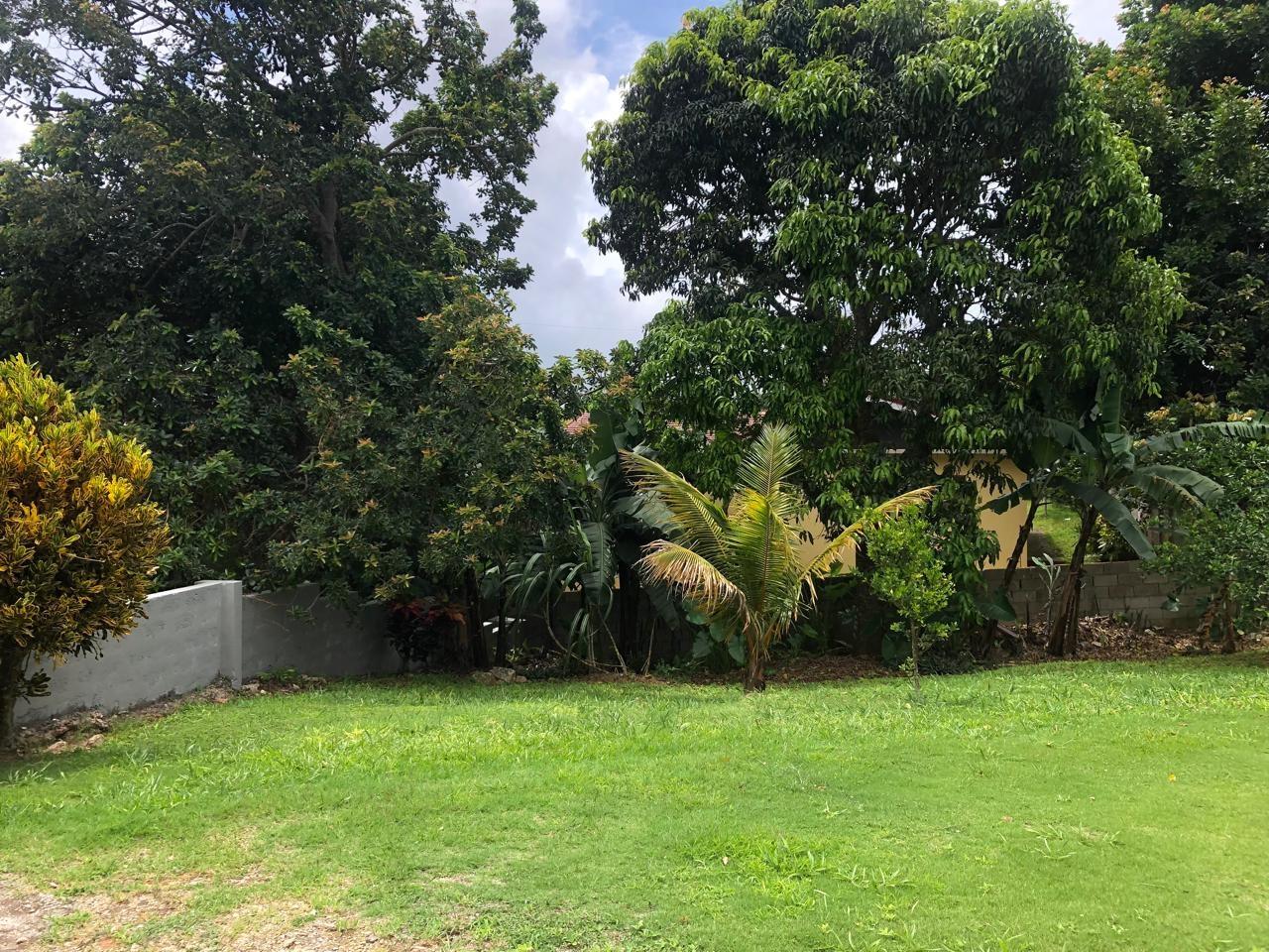 Eleventh image of Lot 7 Arizona Heights in Mandeville, Manchester, Jamaica - property is For Rent