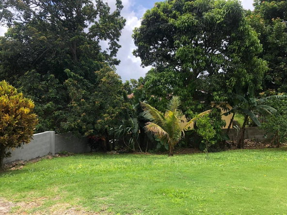 Eleventh image of Lot 7 Arizona Heights in Mandeville, Manchester, Jamaica - property is For Rent
