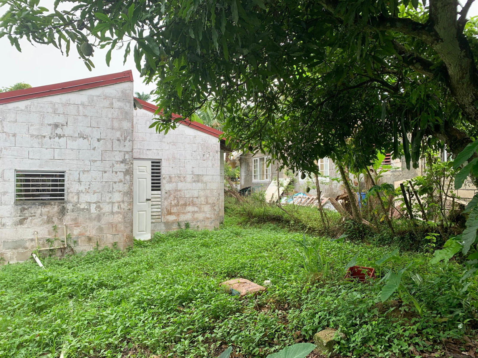 Charming-3-Bedroom-Bungalow-for-Sale-in-Stockholm-Housing-Scheme-Jamaica Tenth image of Lot 70 Stockholm Housing Scheme in Highgate, St. Mary, Jamaica - property is For Sale