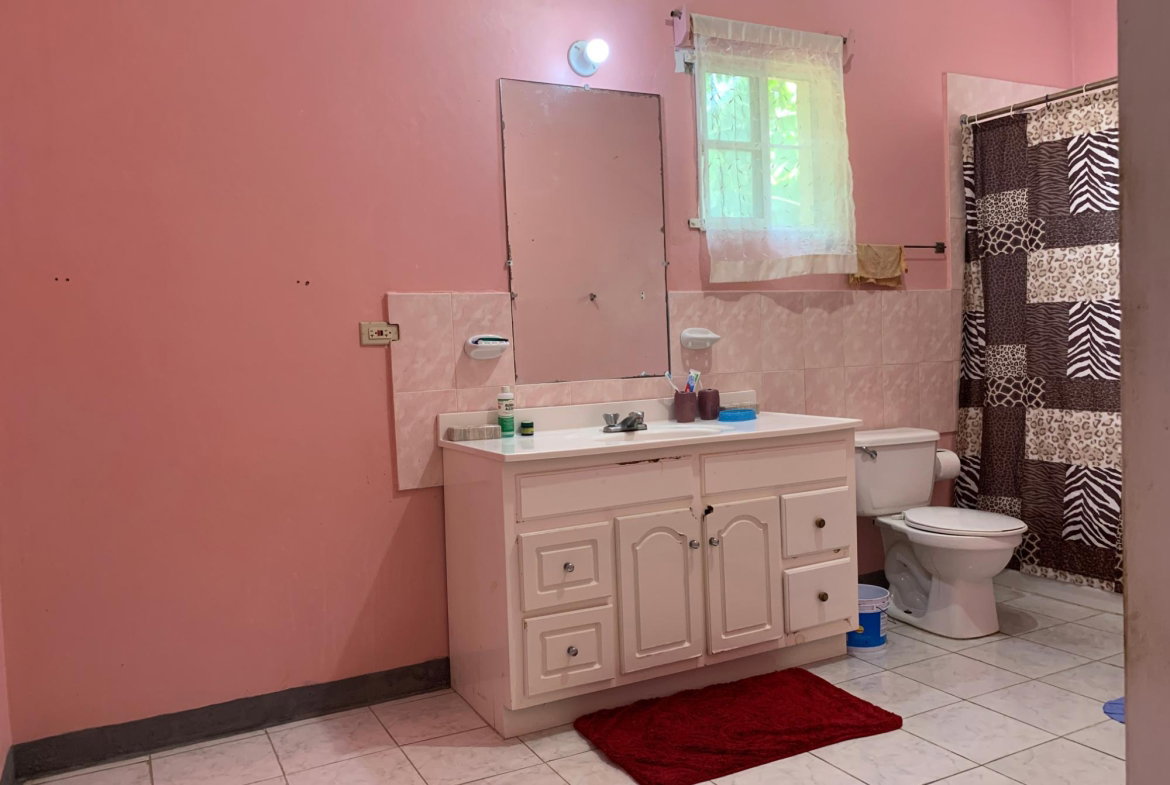 Twenty-First image of 160b Circle Valley Cres in Salt Marsh, Trelawny, Jamaica - property is For Sale