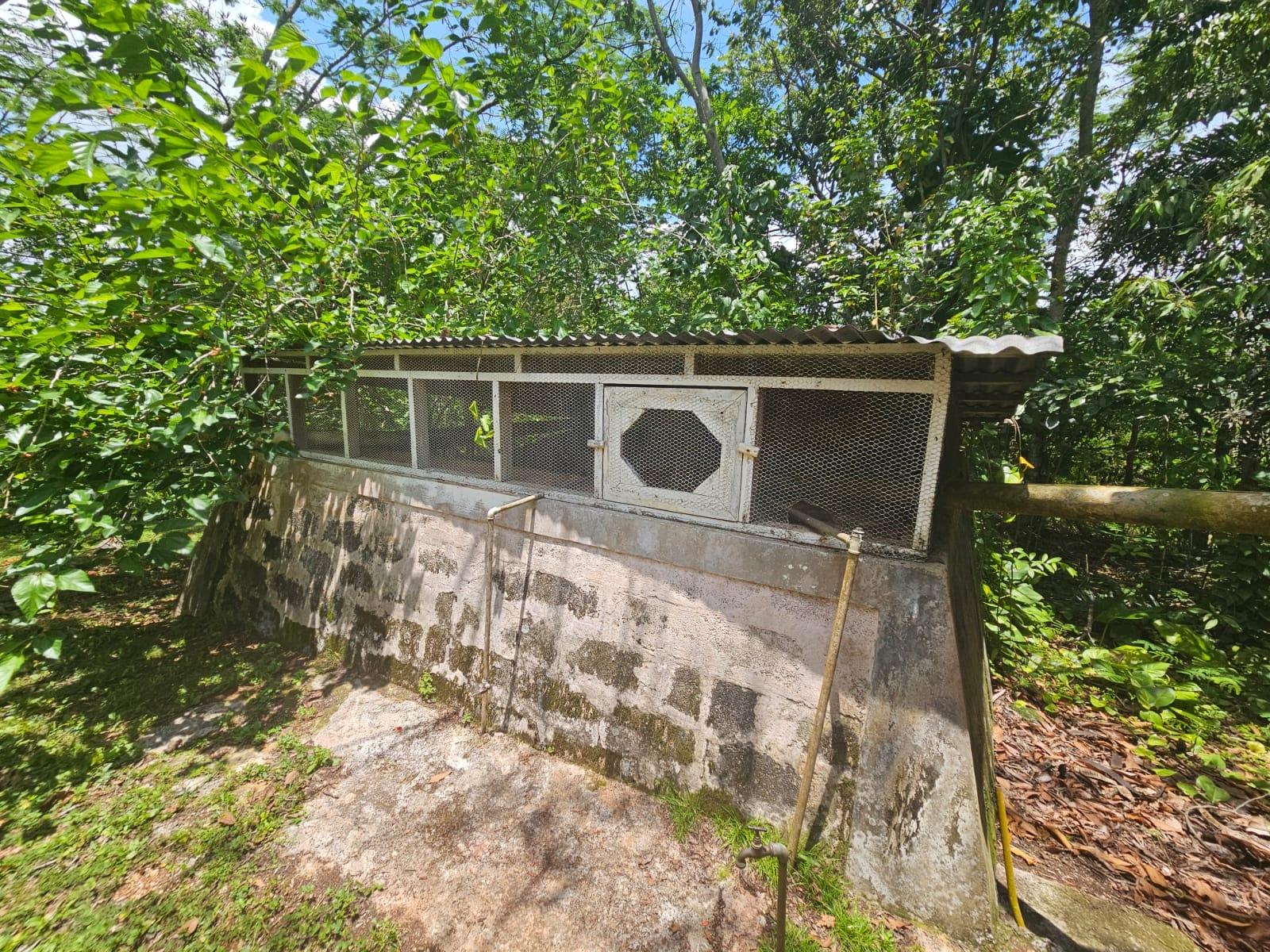 Thirteenth image of 3 Woodlawn Close in Mandeville, Manchester, Jamaica - property is For Sale