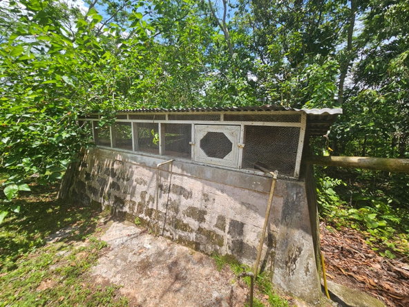 Thirteenth image of 3 Woodlawn Close in Mandeville, Manchester, Jamaica - property is For Sale