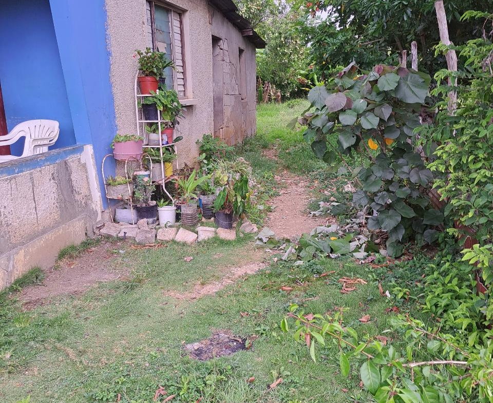 Second image of Lot 67 Denbigh, Fourth Street, d in Denbigh, Clarendon, Jamaica - property is For Sale
