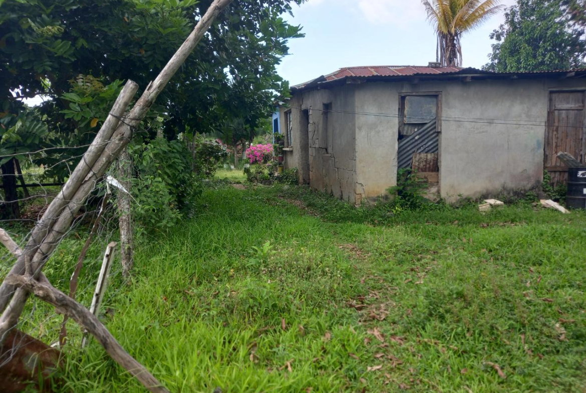 Fourth image of Lot 67 Denbigh, Fourth Street, d in Denbigh, Clarendon, Jamaica - property is For Sale