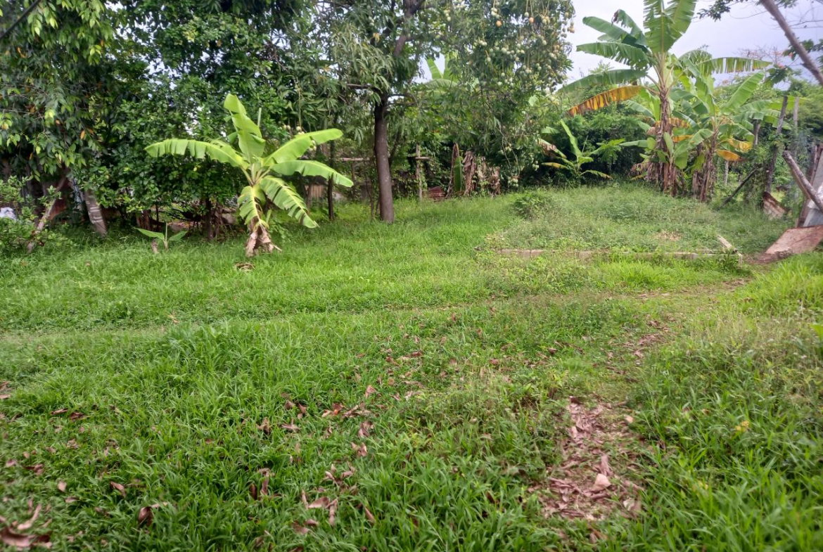 Fifth image of Lot 67 Denbigh, Fourth Street, d in Denbigh, Clarendon, Jamaica - property is For Sale