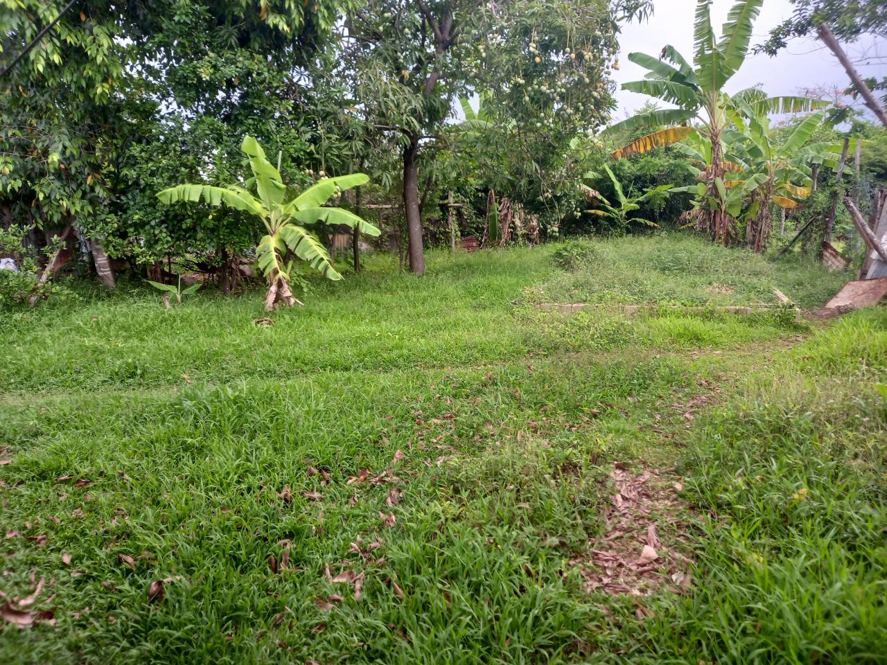 Fifth image of Lot 67 Denbigh, Fourth Street, d in Denbigh, Clarendon, Jamaica - property is For Sale