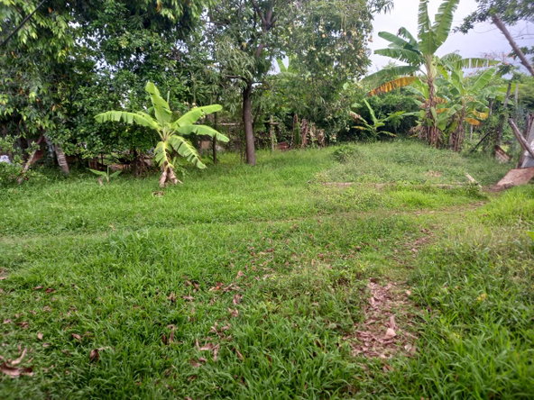 Fifth image of Lot 67 Denbigh, Fourth Street, d in Denbigh, Clarendon, Jamaica - property is For Sale