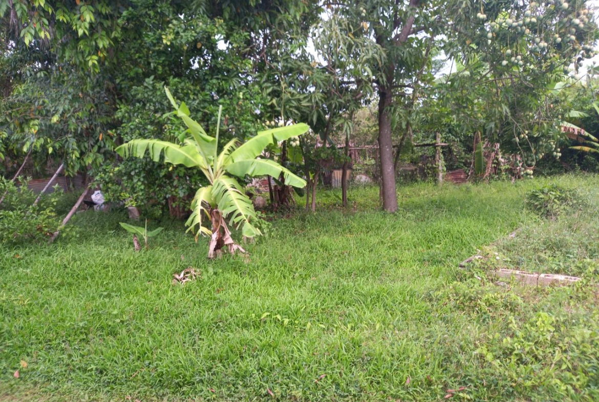 Sixth image of Lot 67 Denbigh, Fourth Street, d in Denbigh, Clarendon, Jamaica - property is For Sale