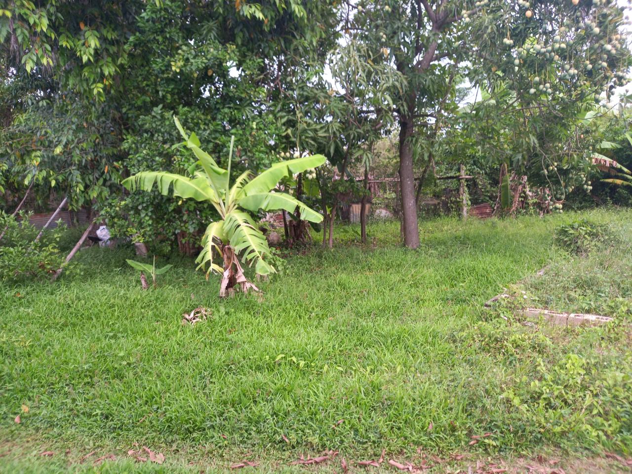 Sixth image of Lot 67 Denbigh, Fourth Street, d in Denbigh, Clarendon, Jamaica - property is For Sale