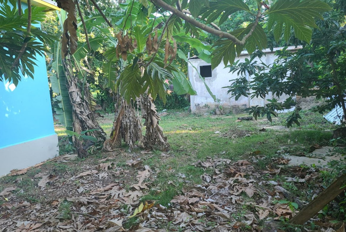 Twenty-Second image of 2 New Haven, Granville in Falmouth, Trelawny, Jamaica - property is For Sale