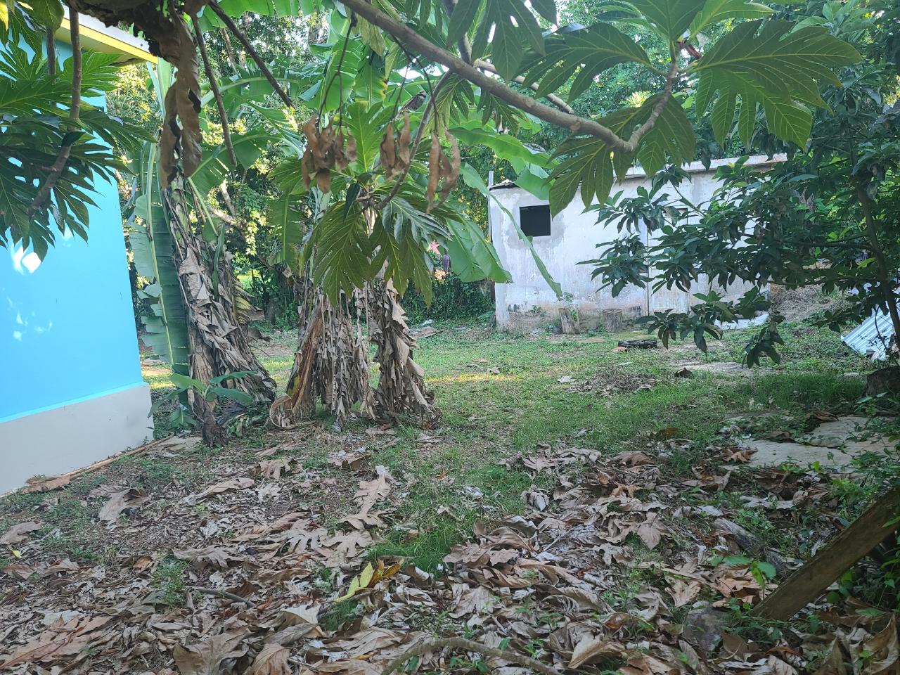 Twenty-Second image of 2 New Haven, Granville in Falmouth, Trelawny, Jamaica - property is For Sale