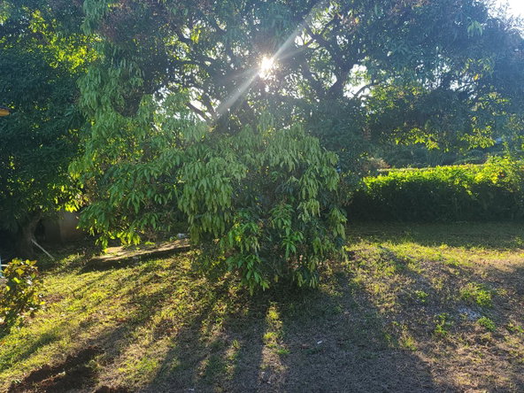 Twenty-Third image of 2 New Haven, Granville in Falmouth, Trelawny, Jamaica - property is For Sale