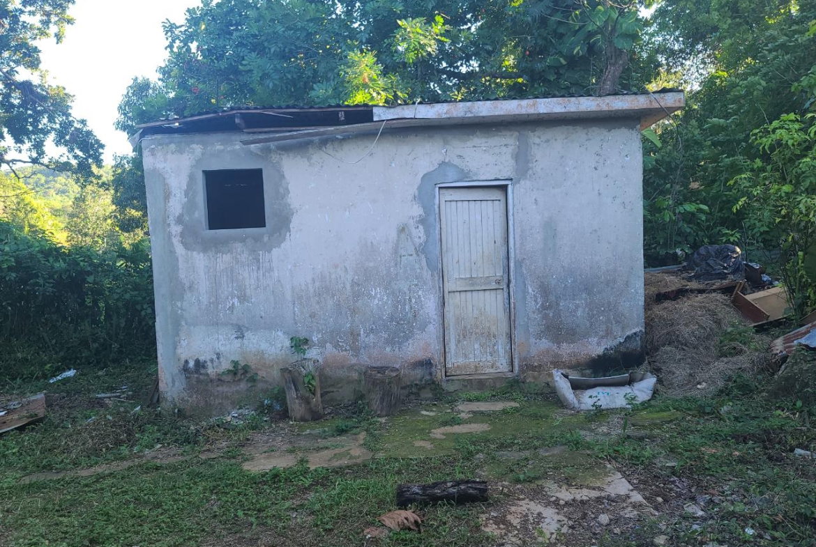 Twenty-Fourth image of 2 New Haven, Granville in Falmouth, Trelawny, Jamaica - property is For Sale