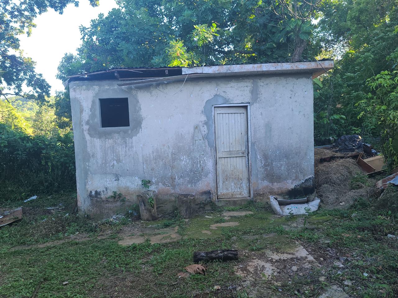 Twenty-Fourth image of 2 New Haven, Granville in Falmouth, Trelawny, Jamaica - property is For Sale