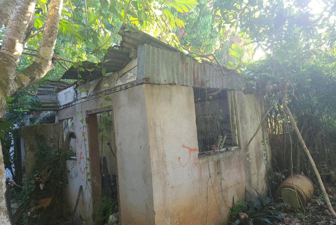 Twenty-Fifth image of 2 New Haven, Granville in Falmouth, Trelawny, Jamaica - property is For Sale