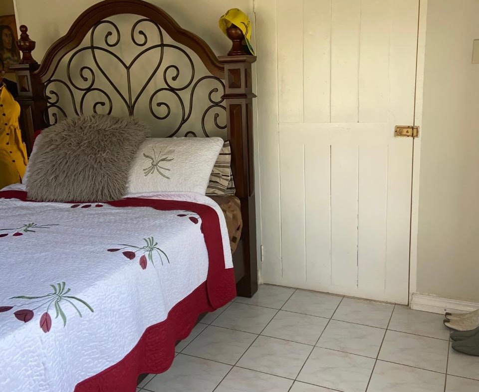Thirteenth image of Brockery Christianna in Christiana, Manchester, Jamaica - property is For Sale