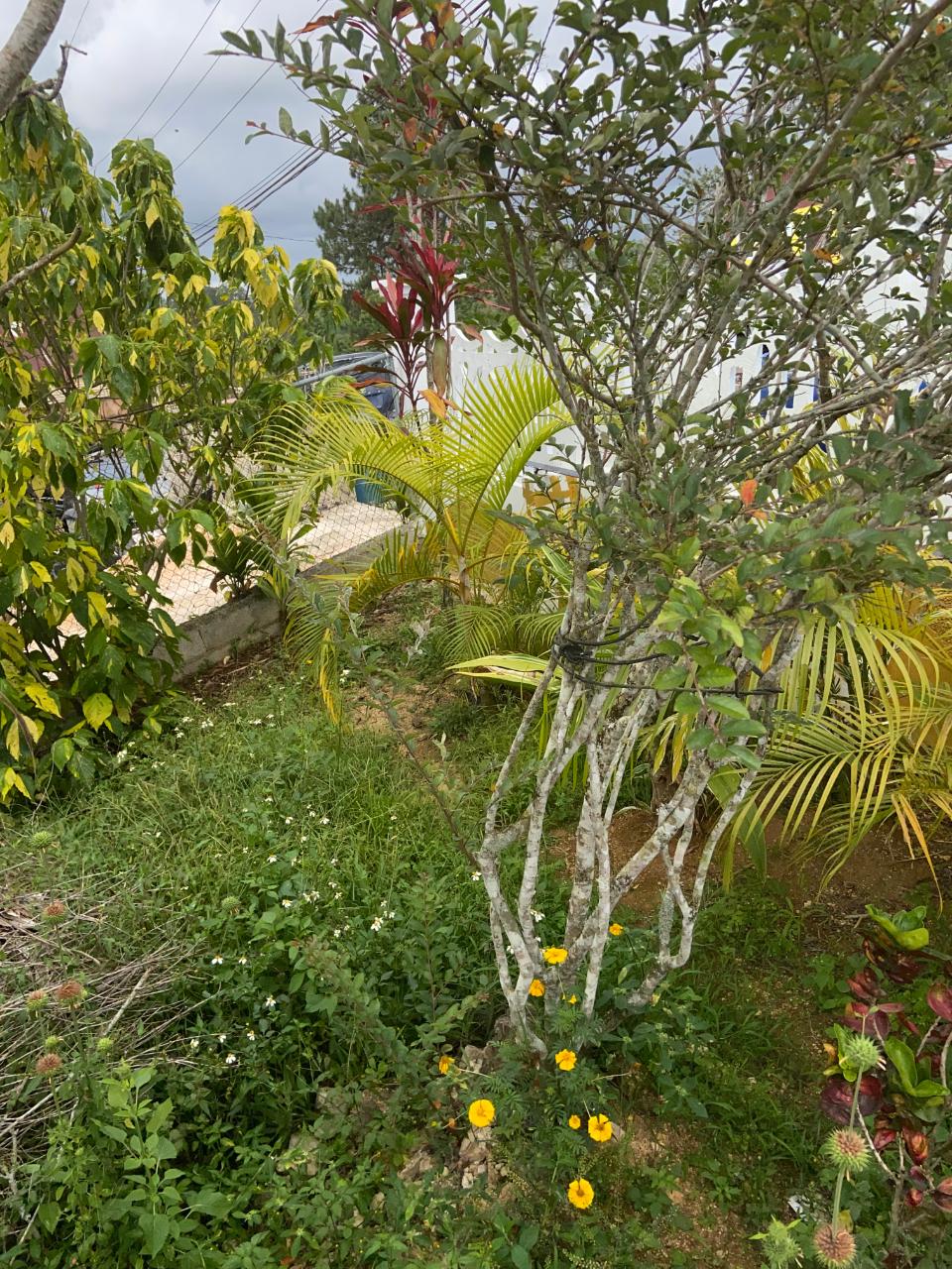 Charming-3-Bedroom-Home-for-Sale-in-Christiana-Manchester Sixth image of Brockery Christianna in Christiana, Manchester, Jamaica - property is For Sale