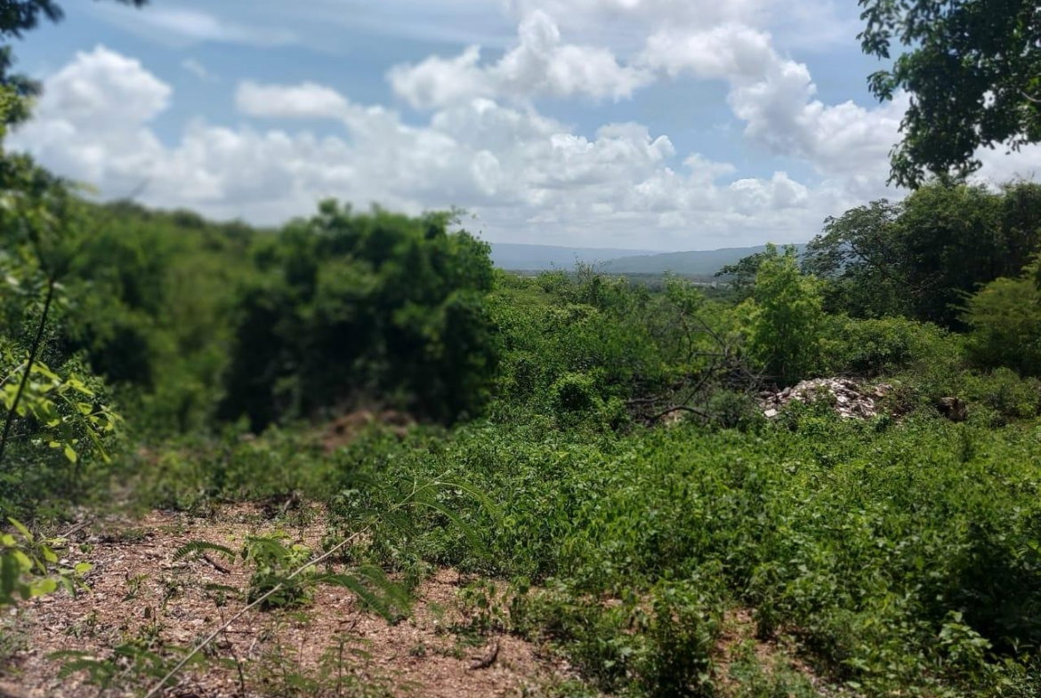 Seventh image of 49 Coates Pen in May Pen, Clarendon, Jamaica - property is For Sale