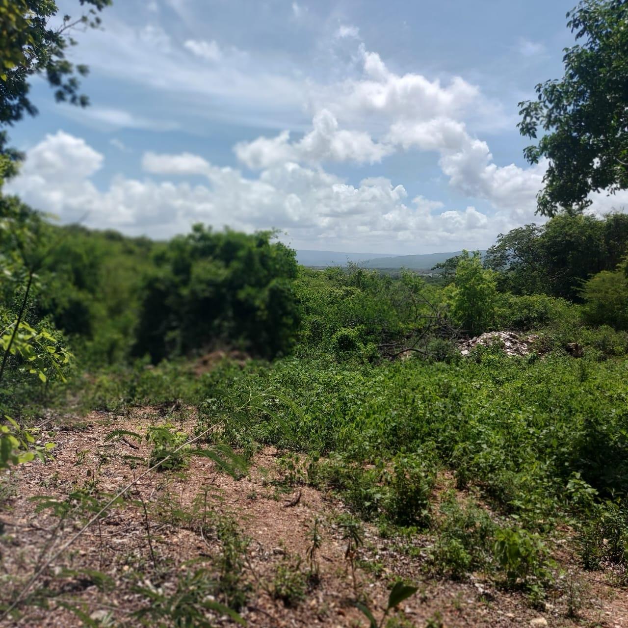 Seventh image of 49 Coates Pen in May Pen, Clarendon, Jamaica - property is For Sale