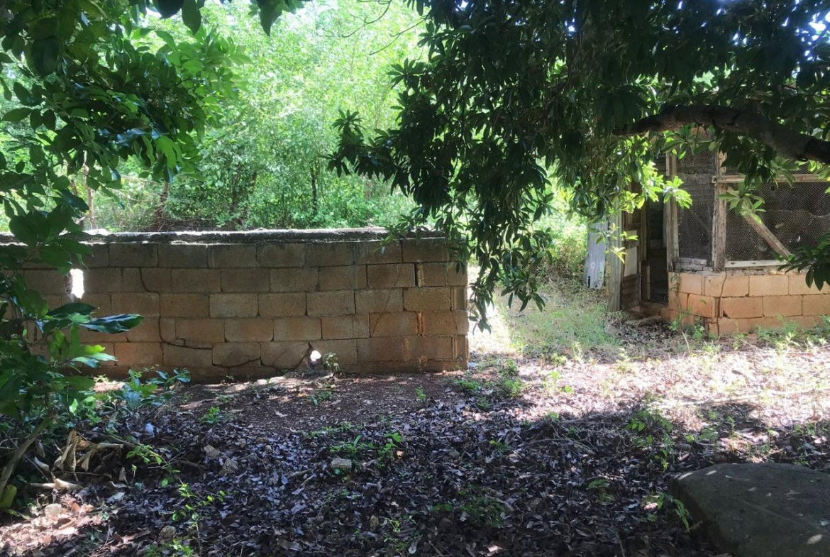 Sixth image of Adams Lane in Palmers Cross, Clarendon, Jamaica - property is For Sale