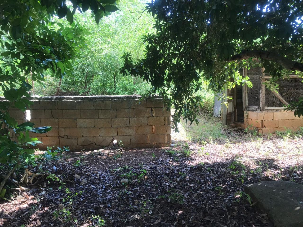Sixth image of Adams Lane in Palmers Cross, Clarendon, Jamaica - property is For Sale