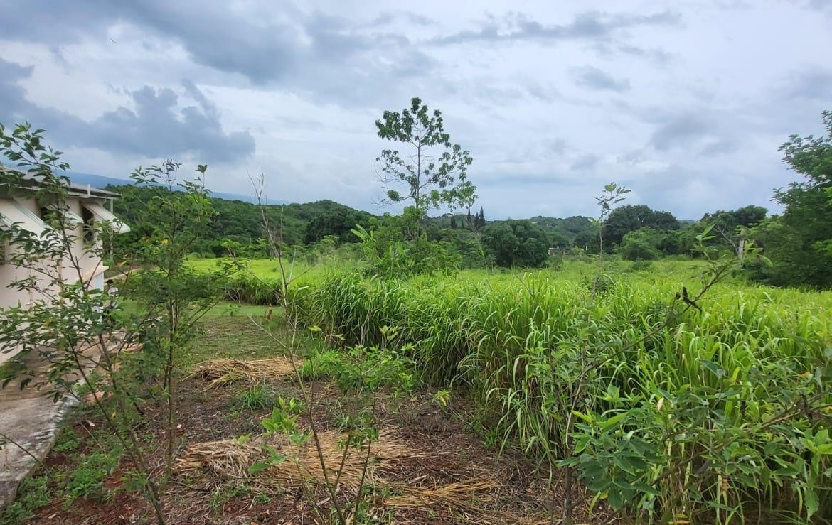 Ninth image of Delightful, Junction St. in Junction, St. Elizabeth, Jamaica - property is For Sale
