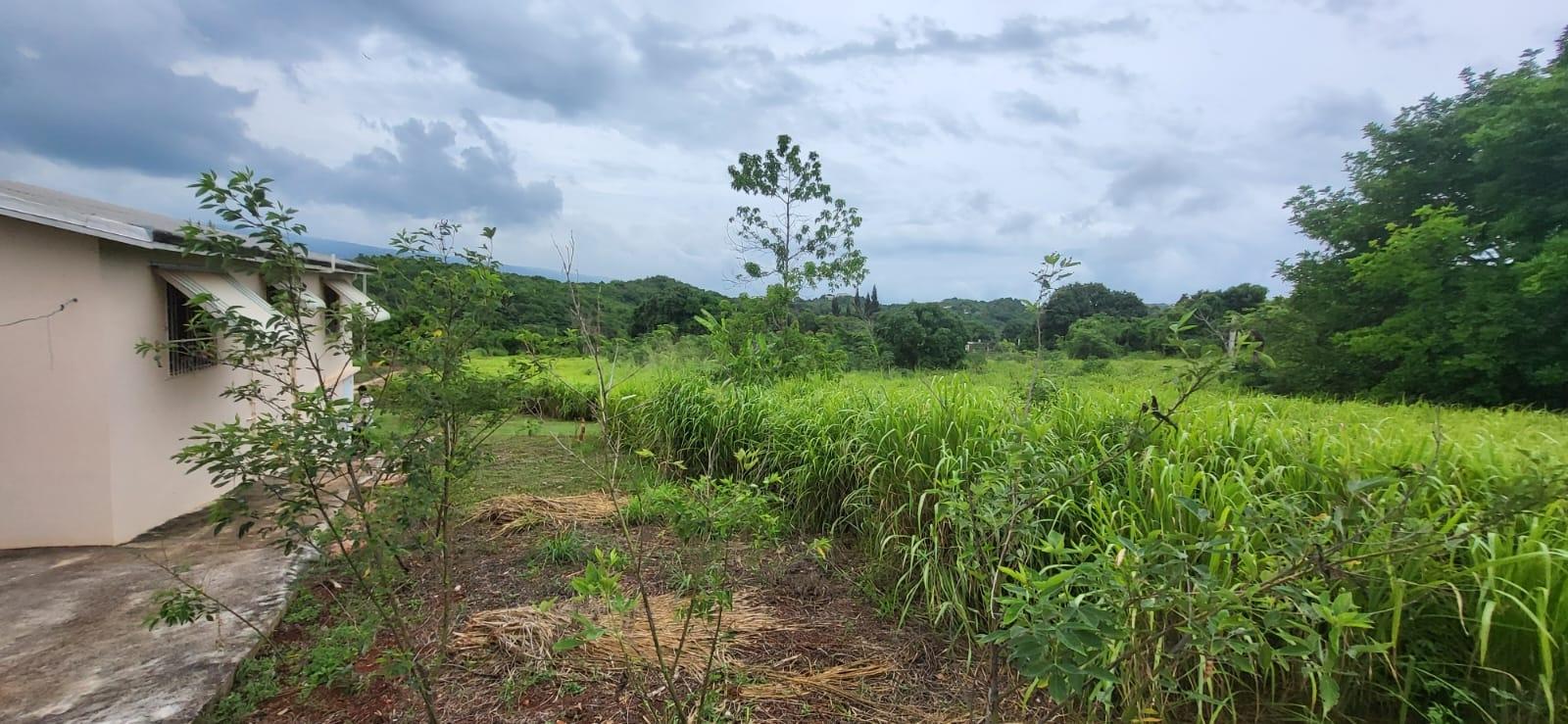 Ninth image of Delightful, Junction St. in Junction, St. Elizabeth, Jamaica - property is For Sale