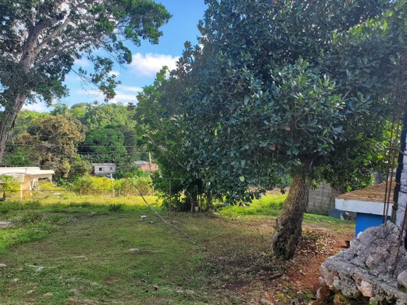 Second image of Top Albion Mandeville in Mandeville, Manchester, Jamaica - property is For Sale