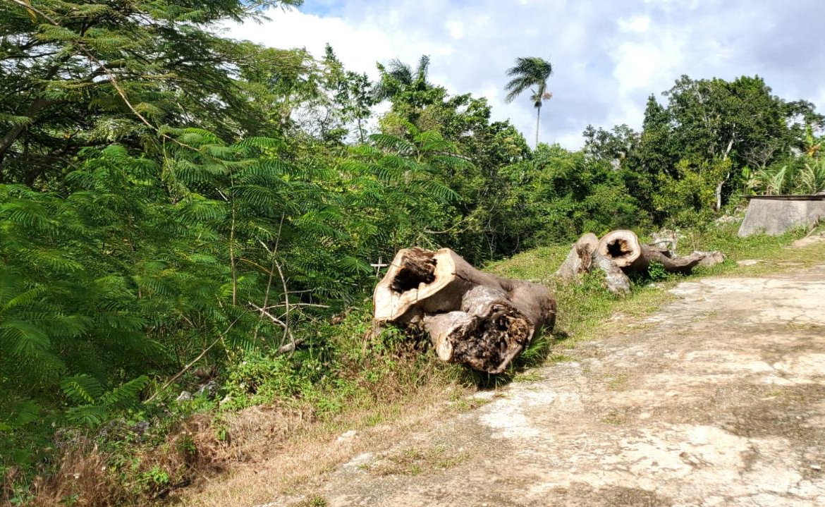 Eleventh image of Top Albion Mandeville in Mandeville, Manchester, Jamaica - property is For Sale