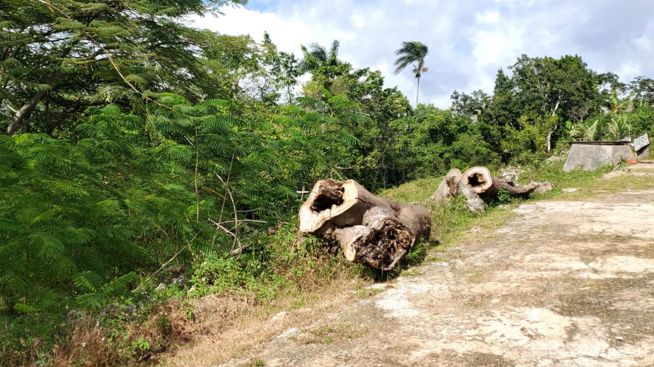 Eleventh image of Top Albion Mandeville in Mandeville, Manchester, Jamaica - property is For Sale