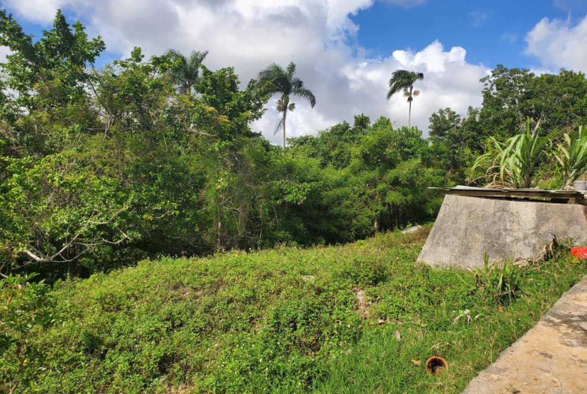 Sixth image of Top Albion Mandeville in Mandeville, Manchester, Jamaica - property is For Sale