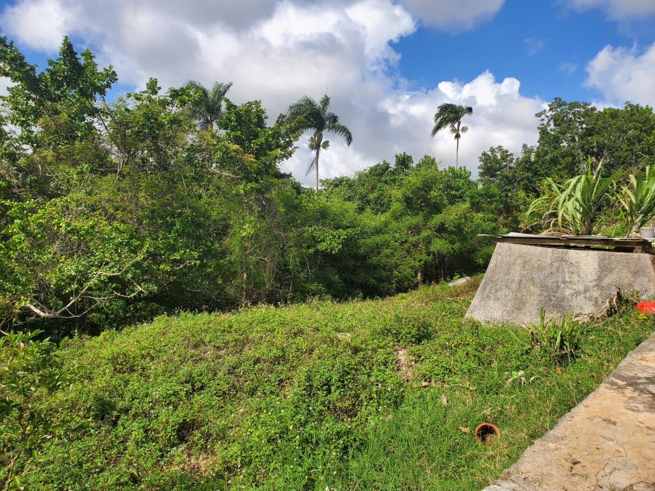 Sixth image of Top Albion Mandeville in Mandeville, Manchester, Jamaica - property is For Sale