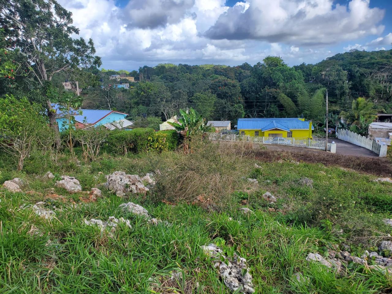 Seventh image of Top Albion Mandeville in Mandeville, Manchester, Jamaica - property is For Sale