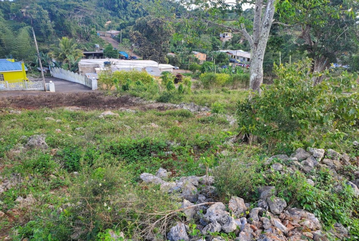 Eighth image of Top Albion Mandeville in Mandeville, Manchester, Jamaica - property is For Sale