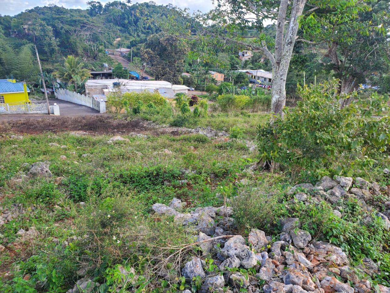 Eighth image of Top Albion Mandeville in Mandeville, Manchester, Jamaica - property is For Sale